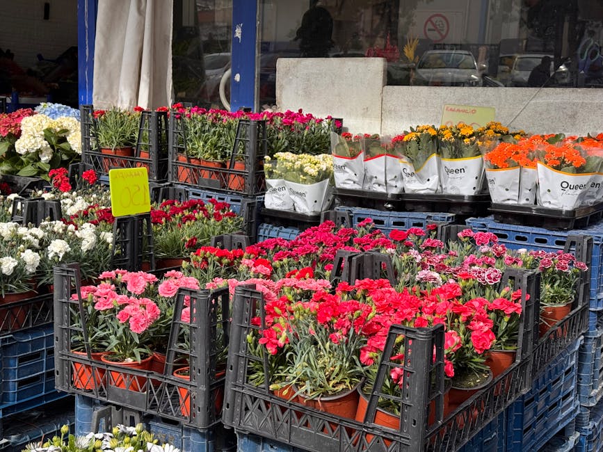 Outdoor display of various potted flowers arranged in black plastic crates outside a florist shop. The flowers include pink, red, white, yellow, and orange blooms, likely carnations and primroses, wit